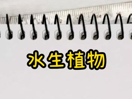 #画画 简笔画小植物