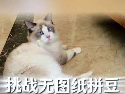 拼豆复刻回喵星的小猫咪🐈⬛ 把回喵星球的小猫,用拼豆重新拼出来✨
这只是姐姐已经离开的小布偶,做得不算完美,但一眼就能认出是它。
以另一种方式,把小猫留在身边🐱
#拼豆 #猫咪纪念 #回喵星球的小猫 #手工diy #见己diy
