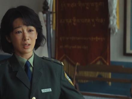 看到头发花白的白菊,不敢想这17年到底是怎么过来的#生命树 #生命树杨紫守护高原绝境 #杨紫 #胡歌