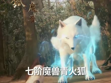 我劝你别看这部剧,一不小心看到半夜,爽到停不下来