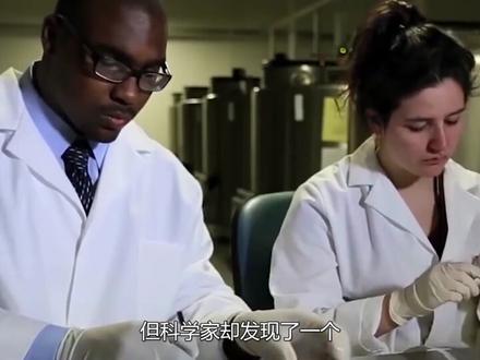 绝对零度到底有多可怕?零下273.15℃,甚至能冻结光 #温度 #零度 #科普