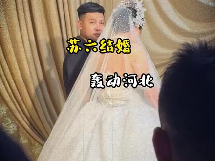 苏6和馨子婚礼完美礼成!