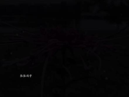 南给爱哭#曼波讲故事#双男主#这是一个悲伤的故事