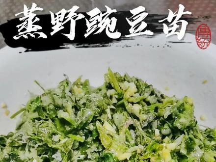 #上热门 又到了吃野菜的季节,友友们不要错过,真的挺好吃,纯天然的#美食 #大自然的馈赠