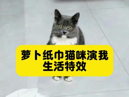 萝卜纸巾猫咪模仿挑战爆火!剪映一键解锁同款萌宠名场面
#剪映 #萝卜纸巾猫咪演我生活 #一夜之间萌宠都认识了萝卜 #质疑理解并成为萝卜纸巾猫咪 萝卜纸巾猫咪模仿挑战 萝卜纸巾猫咪版 #萝卜纸巾猫咪 萝卜纸巾猫咪演我生活特效教程 萝卜纸巾猫咪原视频 萝卜纸巾猫咪版二创 萝卜纸巾是什么梗 萝卜纸巾模仿 萝卜纸巾 萝卜纸巾猫咪什么梗 萝卜米老鼠纸巾 猫咪认纸巾和萝卜真人版 萝卜纸巾猫咪表情包 萝卜纸巾猫咪模仿挑战电脑 萝卜纸巾猫咪二创 萝卜纸巾猫咪模仿 萝卜纸巾猫咪模仿挑战.dj 萝卜纸巾猫咪原视频摸空气 萝卜纸巾猫咪米老鼠摸空气 萝卜纸巾猫咪摸空气是哪一集 萝卜纸巾猫咪原视频摸地 萝卜纸巾猫咪原视频摸空气剪辑 猫咪认纸巾和萝卜模仿 猫咪认纸巾和萝卜真人版男 猫咪认米老鼠 猫咪认纸巾和萝卜原视频 萝卜纸巾猫咪演我生活 猫咪认纸巾和萝卜 猫咪认胡萝卜 猫咪认纸巾和萝卜真人版粉扑 猫咪认纸巾 小猫萝卜纸巾挑战 小猫萝卜纸巾挑战菠萝头 小猫萝卜纸巾挑战规则 小猫萝卜纸巾 小猫挑战 小猫纸杯挑战 小猫挑战尖尖的东西 小猫挑战蓝线挑战 萝卜纸巾猫模仿真人 萝卜纸巾猫出圈 萝卜纸巾猫抽象版 萝卜纸巾猫表情包 萝卜纸巾猫 萝卜纸巾猫摸地板 萝卜纸巾猫出圈瑶 外国人看纸巾萝卜小猫 外网评论纸巾萝卜小猫 看纸巾萝卜小猫模仿 纸巾萝卜小猫 萝卜纸巾挑战 萝卜小猫 萝卜纸巾猫咪逐渐抽象 萝卜纸巾猫咪演我生活老虎 萝卜纸巾狗模仿挑战 一夜之间萌宠都认识了萝卜化妆品 一夜之间萌宠都认识了萝卜文旅 萝卜 一夜之间所有动物都进化了
