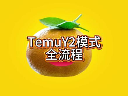 Temu Y2发货全流程拆解,避开罚款的七个关键动作#Temu运营 #Y2模式 #跨境电商 #temu #货代