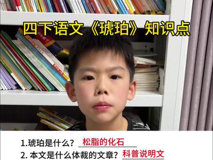 #四年级下册语文 《琥珀》知识点归纳#知识分享 #必考考点 #知识点总结 #四年级语文