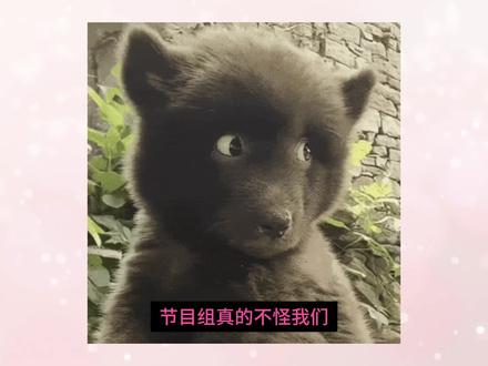 不管了,嗑到哪对算哪对吧
#boynextdoor #tws