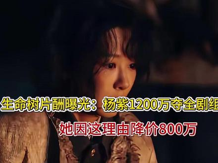 生命树首波演员评分出炉,杨紫6.3垫底,梅婷仅排第三,第一很