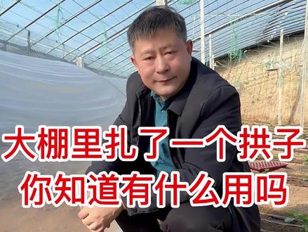 大棚里扎个拱子,你知道有什么作用了吗?#三农 #乡村振兴 @DOU+小助手 @砚祥农业工厂店