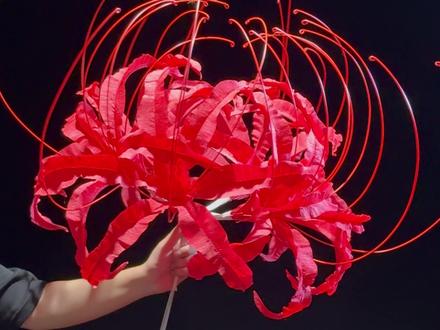 八一de仿真彼岸花教程 大家千呼万唤的仿真彼岸花教程终于来了,非常感谢大家对这款彼岸花的喜欢,昆明的宝子可以直接租棚,
❶第一部分,购买材料,这次用到的材料很简单,我购买了皱纹纸,纸艺铁丝,因为我懒得制作红色铁丝(包红纸或者涂红色),直接买的红色包胶铁丝,除此之外还用到一些其他材料,铝塑管,纸胶带,扎带。这些材料是前面做大树剩下的材料就没买。
❷第二部分,制作模版,给你们的是标准大小模板,大家可以举一反三。
❸第三部分,制作花瓣,将皱纹纸按照纸样大小,折扇子一样对折多层,注意皱纹纸纹理走向,和纸样对称线成垂直线,这样后面的步骤才能使花瓣形状更加仿真。将裁剪下来的花瓣对折形成折痕,准备35cm的铁丝用作花瓣骨,用热熔胶挤在铁丝上对折粘住,对折粘住地方尽量不要太宽,小心烫伤,可带厚手套防止烫伤,粘好就是这样。然后像视频上这样弯曲花瓣形状,轻轻扯动花瓣褶皱可以形成褶皱更加仿真自然。一朵彼岸花需要6*6=36朵花瓣,所以做花瓣这个步骤很费时间,需要一点耐心。
❹第四部分,组装花朵,先准备好五根红色铁丝用作花朵花蕊(真实数量基本为6根但成品有些密所以我改成了5根),然后取出花瓣根部打胶用纸胶带缠紧,六个花瓣组成一朵小花,六朵小花组成一朵成花,然后整体进行调整形状就是这个效果。
❺最后声明:第一次制作纸艺花可能会有更加好的方法,欢迎大家积极讨论,此款花样免费开放给各位宝子,可以制作道具,拍摄自己喜欢的风格和角色,
但是不允许商用,不允许商用,不允许商用。希望大家都可以用这个花花拍摄自己喜欢的照片,后续也会分享各种拍摄道具,希望各位尊重主播研究和脑力成果,不允许商用不允许商用。#手工制作#昆明租棚 #昆明约拍#摄影置景#摄影干货