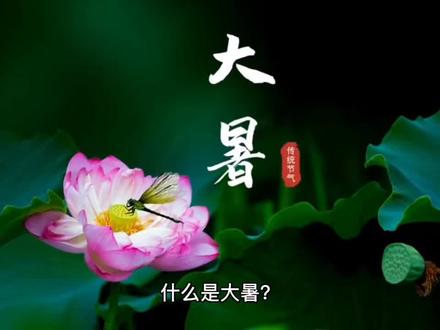 什么是大暑#原创 #知识 #知识科普