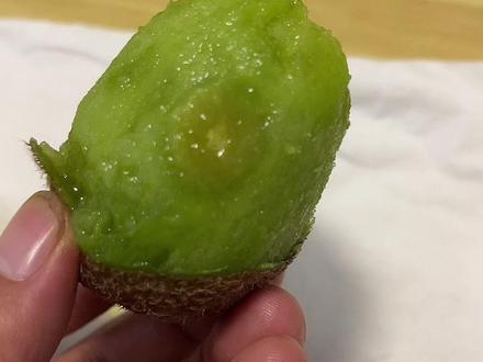 你吃猕猴桃遇到过这种情况吗?#新农人计划2023 #徐香猕猴桃 #没有打农药天然无公害 #食品安全#徐香猕猴桃陕西眉县#猕猴桃徐香#猕猴桃陕西#奇异果绿心