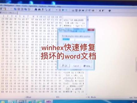 winhex快速修复损坏的word文档#数据恢复 #电脑技巧 #电脑