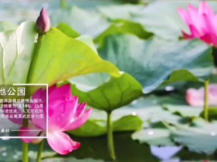 神溪村 一个“因山而秀美 因水而灵动 因祠而厚重”的地方#山西浑源 #美丽乡村