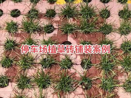 #园林景观砖 #环保材料 #草坪砖,环保植草砖,承重植草砖,停车场可用。