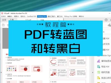 将PDF文件转换成蓝图或黑白的步骤详解。教你使用PitStop Pro插件将PDF文件快速转换成蓝图或黑白!#原创视频 #PDF插件教程 #图文快印