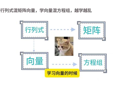 线性代数基础怎么学?有妙招的! #没咋了 #考研数学 #27考研 #线性代数 #考研线性代数