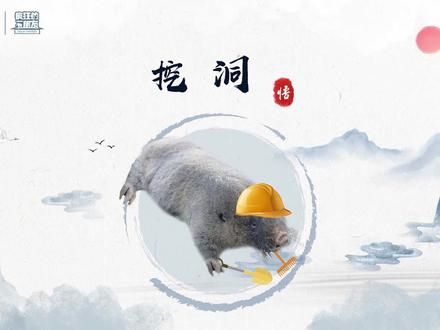 鼹形鼠 挖洞@抖音青少年 #科普知识 #知识合伙人 #动物世界 #人与自然 #野生动物 #鼹形鼠 #挖洞