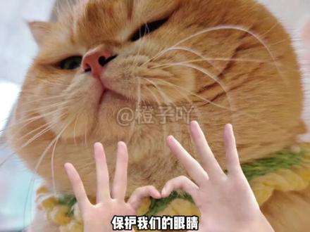 悟空浏览器还是太全面了!#追剧神器 #省钱攻略 #涨知识