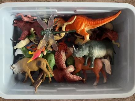 早教认知动画:学习认识肿头龙、长颈鹿、霸王龙、斑马等动物读法#早教认知 #认识动物 #启蒙动画