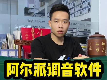 好多车友不知道阿尔派调音软件在哪里下载,这次出个教程。还有阿尔派app音乐调音软件,适配阿尔派dsp各种型号#汽车音响#阿尔派#dsp功放#广州 #开平