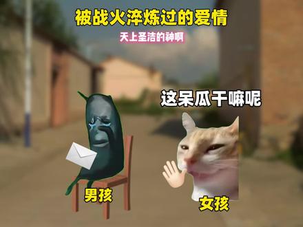 那份被战火淬炼的爱情#猫meme #真实还原 #万万没想到 #歌曲在世界末日前结婚