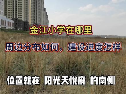 麒麟区金江小学在哪里,周边分布如何,建设进度怎样
