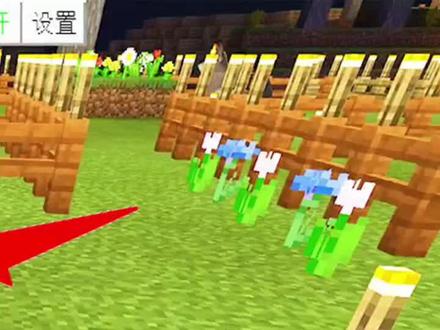 我的世界生存158:成功收集4瓶蜂蜜!做一个蜂蜜方块,试试它的特性!-3