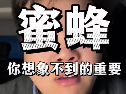 蜜蜂,是你们想象不到的重要#蜜蜂