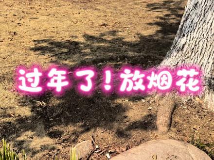 KT猫和小伙伴一起放烟花啦#画画 #烟花#新年快乐#治愈系 #抖音青年艺术家计划