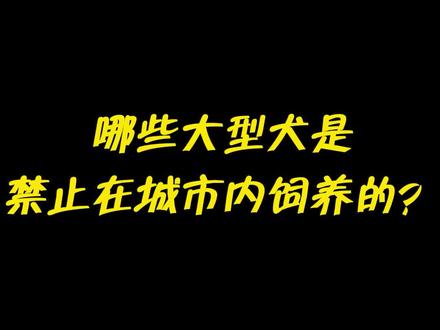哪些大型犬是禁止在城市范围饲养的?#法律常识 #宠物 #文明养犬
