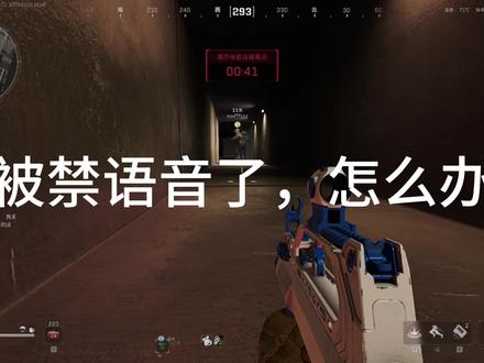 #三角洲行动 #三角洲行动周年庆 三角洲禁语言,仅限回怼可以试一下