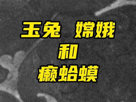 #星河知识计划 嫦娥玉兔和癞蛤蟆之间的关系 #神话