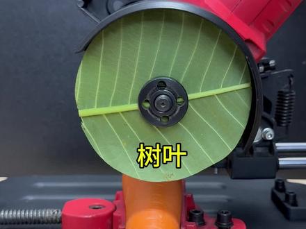 哪种东西可以切割胡萝卜#硬核 #实验