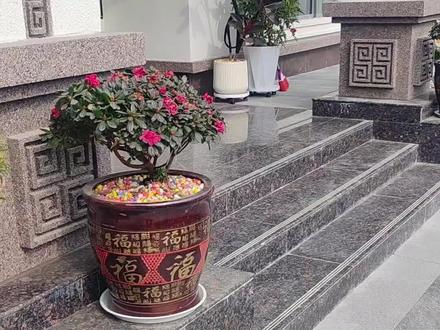 第310集 这就是标准的三步台阶+斜坡设计#农村自建房 #宅基地建房 #三步台阶设计效果图 #三步 #三生万物