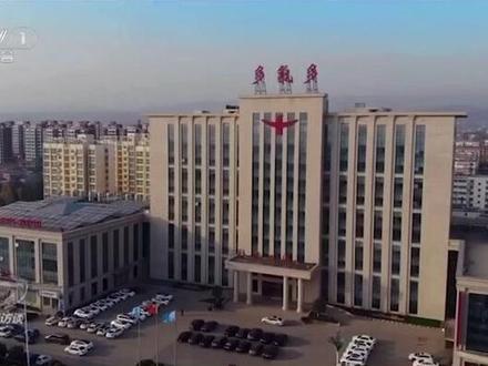 《焦点访谈》关注隐形冠军多氟多的创新故事《追求极致 “锂”中有我》#隐形冠军企业