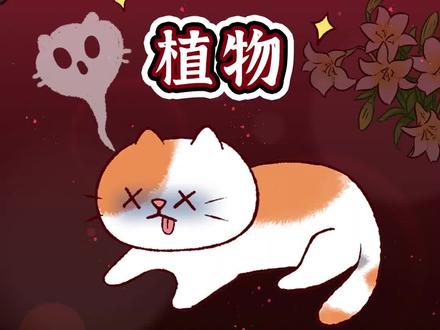 养猫千万不能养的植物,赶紧自查一下!#轻漫计划 #二次元原创 #充能计划 @DOU+小助手