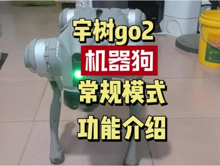 宇树go2机器狗常规模式功能介绍#机器狗能干什么 #机器狗如何提升生产力 #机器狗研究 #机器狗维修