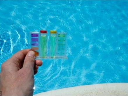 鱼会长白点分析