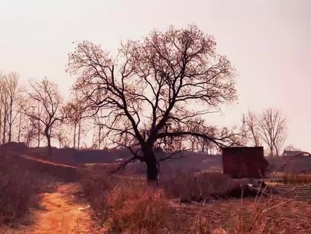 禹州市石板河村委会 位于苌庄乡东南部丘陵地带,东临浅井乡,村委会驻石板河得名。辖石板河、尚秦两个自然村,耕地2038亩,220户,1109人,均为汉族。
清属钧阳里六甲;民国初属顺店区,后属康城镇上王庄保;1948年解放属第五区上王庄乡;1958年属钢铁人民公社;1961年设大队,属浅井区马沟公社;1968年属苌庄公社;1984年改称村委会,属苌庄乡。以农为主。设小学一所。
在县城西北19公里,花山坡山南侧,东
临浅井乡,西距苌庄3。5公里
该村中间有一条小河南北穿过,河底由
东 许多大小石板自然构成,河称石板河,村以委 河名。聚落沿河两侧分布,南北延伸呈条带
形,房舍原多土窑桐,新建为砖木结构瓦房。