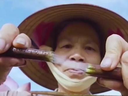 藕丝也能织成围巾#上西瓜看知识 #冷知识 @西瓜视频 #新奇好物