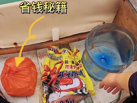 平时出去矶钓为了省米费尽心思,小鸡饲料便宜实用,已经实战过放心使用#海钓 #浮游矶钓 #国庆去哪儿最好玩 #矶钓窝料 #巽寮湾海钓 #双月湾海钓 #出海钓鱼