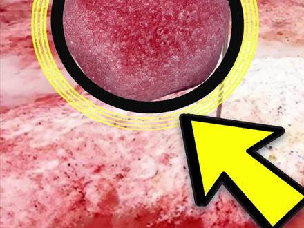 #科学 西瓜雪?绿色的雪?南极再次上演“红雪”事件!连雪都是西瓜味?