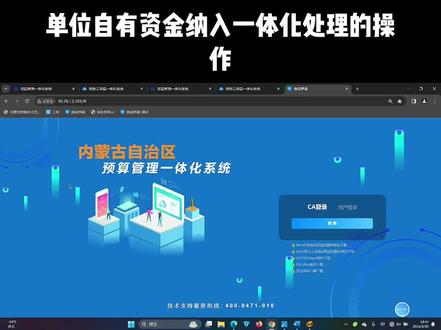 单位自有资金纳入一体化处理的操作