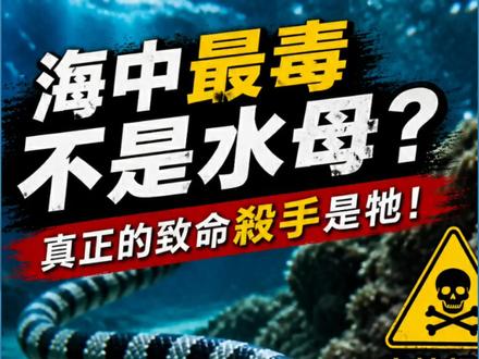 海蛇是海洋中毒性極強的生物之一,
主要分布在熱帶海域,外型優雅卻充滿危險。
牠們能長時間在水中活動,
甚至有些種類的毒性比眼鏡蛇還要強!
不過海蛇通常不會主動攻擊人類,
只要保持距離,就能避免危險。
⚠️ 在海裡遇到海蛇,請務必冷靜並遠離!
#海蛇 #海中危險生物 #海洋知識 #釣魚注意 #海底世界
