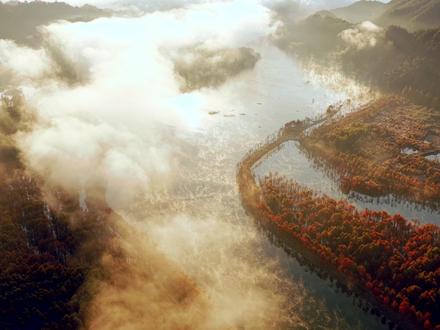 你该起势了,十年潜龙困深渊,一朝乘风上九天 #起势