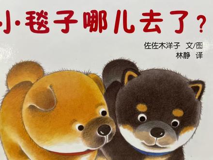 《小毯子哪去了》#绘本故事 #儿童绘本故事 #推荐绘本 #童书 #儿童阅读