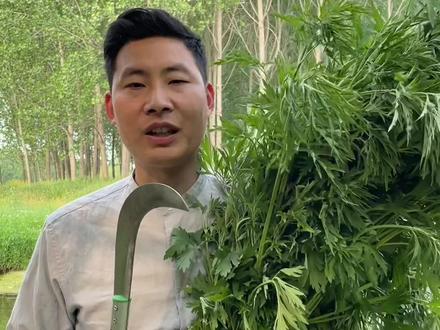 此草在《本草纲目》中叫茺蔚,因宜于妇人所以名唤益母草。益母草的用途有很多可以做泡脚包、煮鸡蛋和熬制益母草膏。#益母草 #益母草红枣汤 #熬制益母草膏 #野生植物 @抖音自然 @抖音小助手