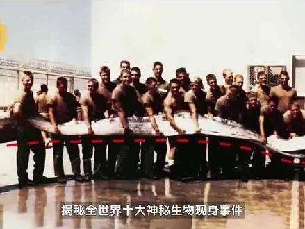 深海巨兽与陆地精灵:揭秘2024年十大神秘生物现身事件